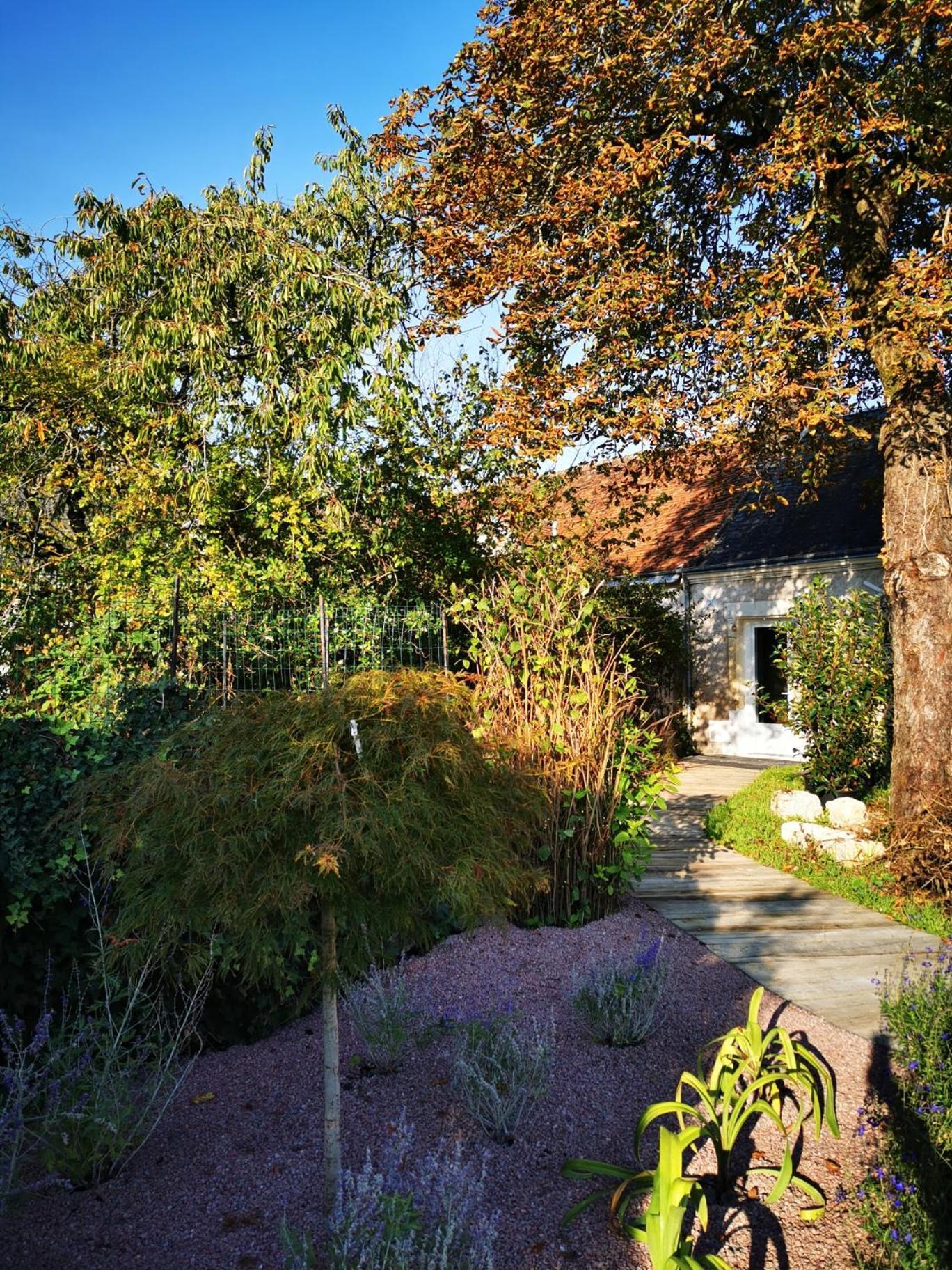 La Jacquiere Bed & Breakfast Chaumont-sur-Loire Bagian luar foto